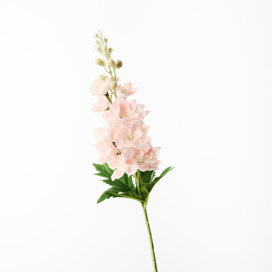 Delphinium Stem - Peach