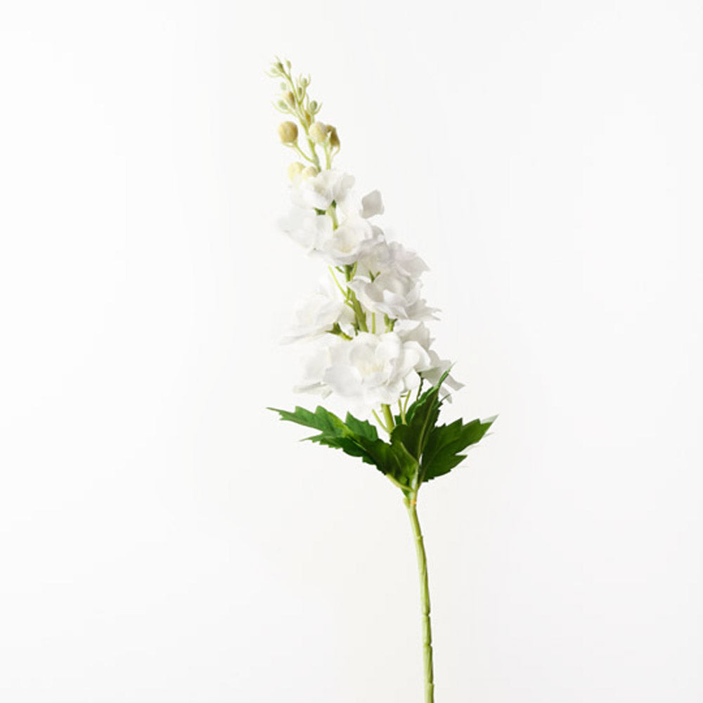 Delphinium Stem - White