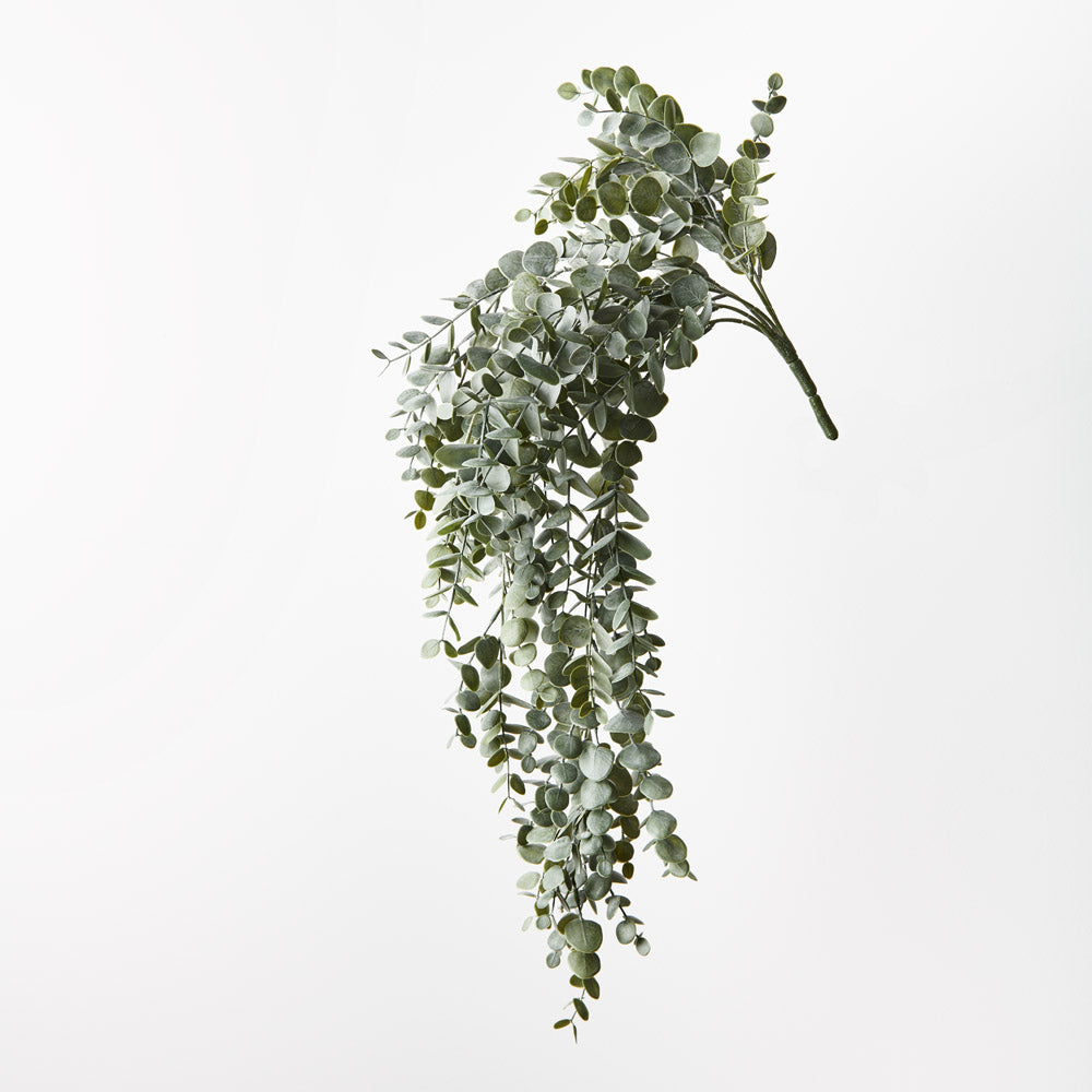 Eucalyptus Hanging Bush - Grey Green