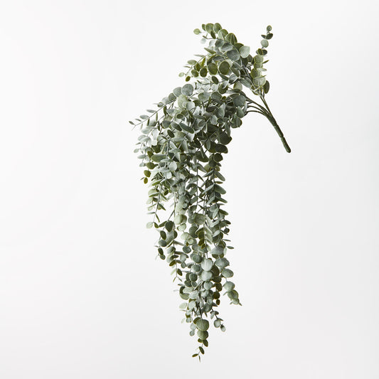 Eucalyptus Hanging Bush - Grey Green