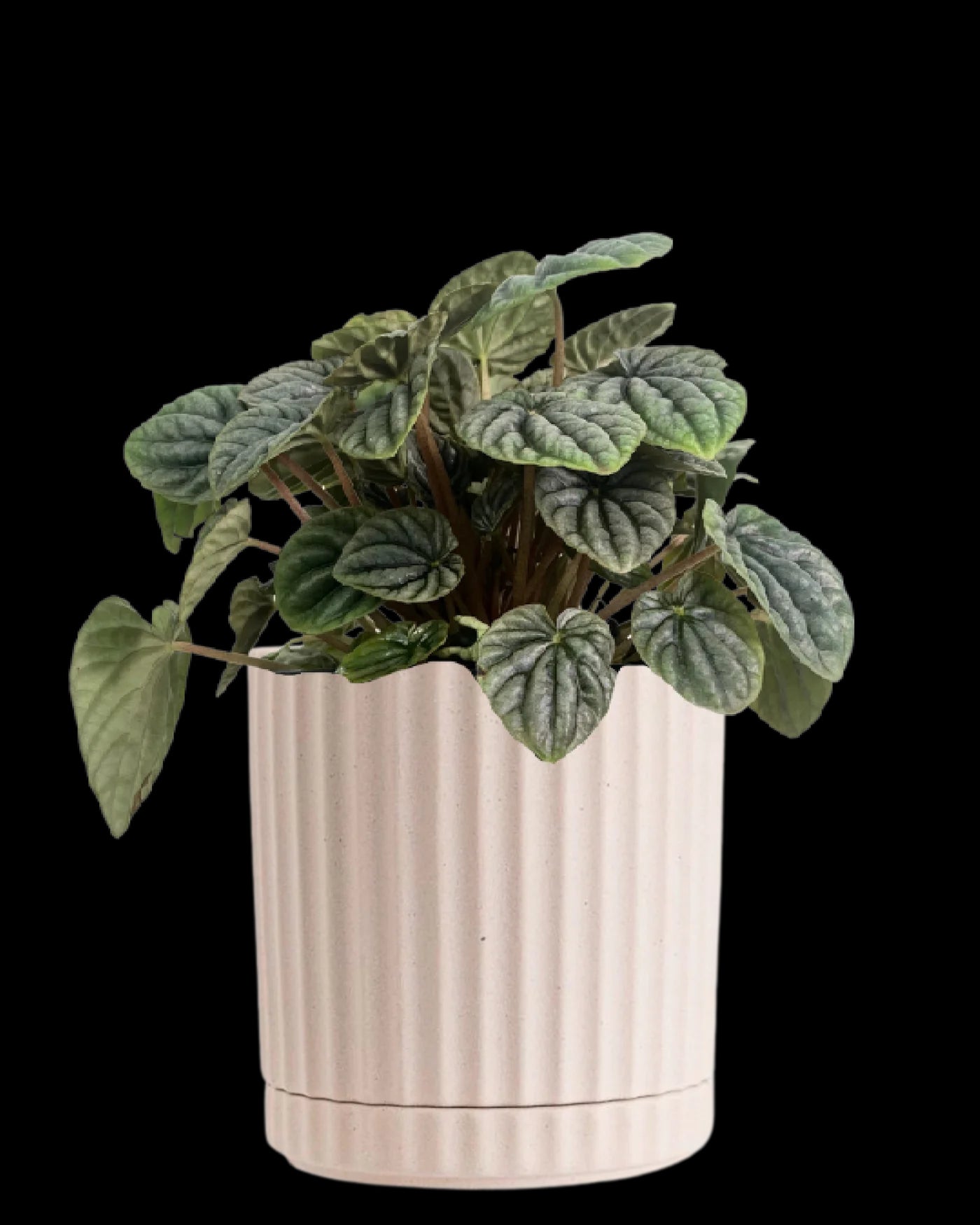 Athens Planter Large - Sand