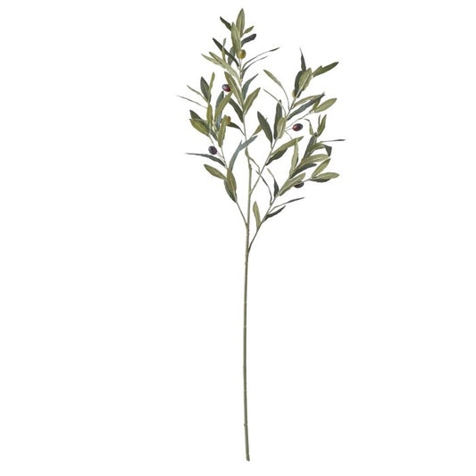 Olive Leaf Spay