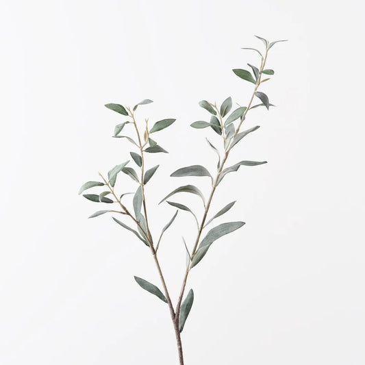 Olive Leaf Spray