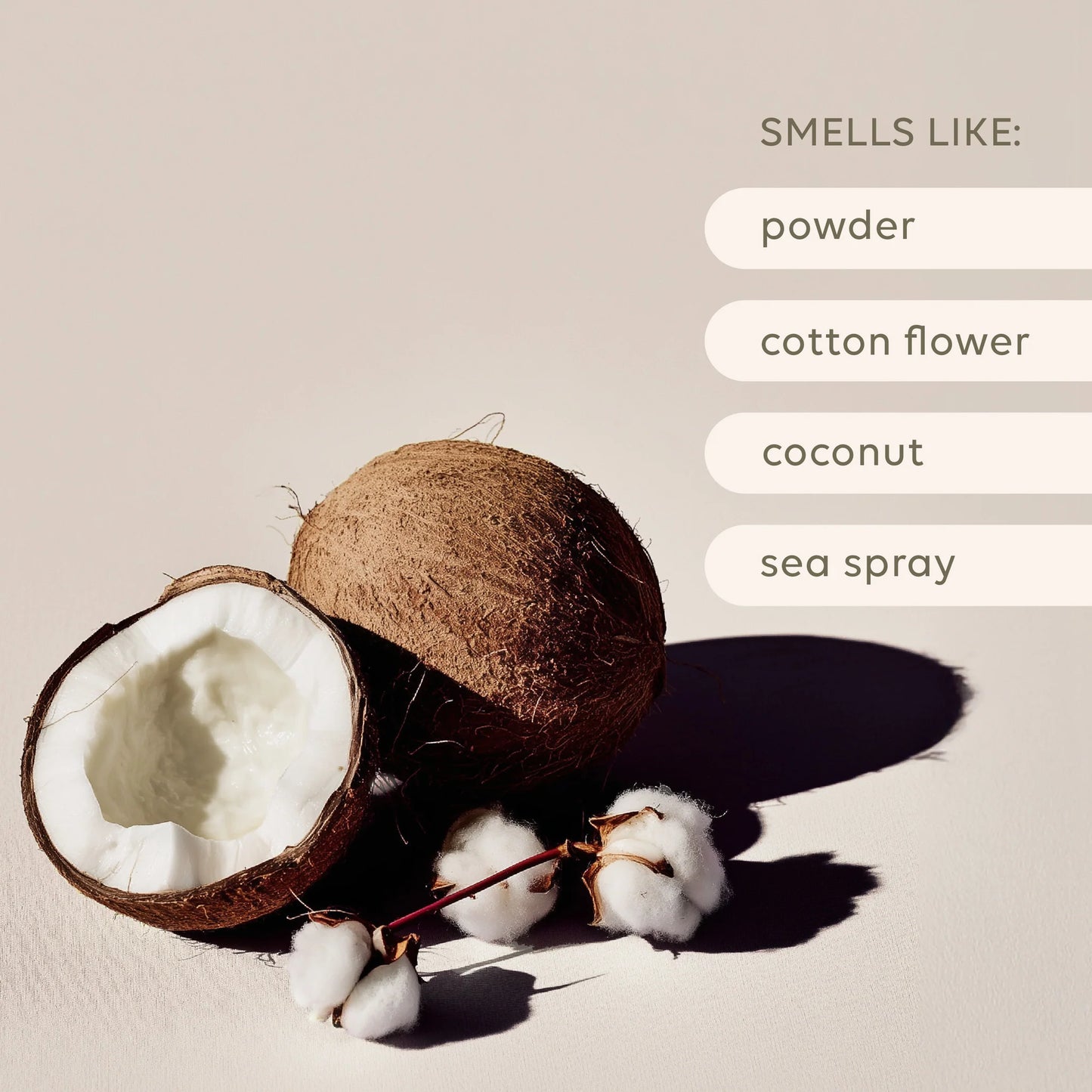 Room Spray - Sea Cotton + Coconut