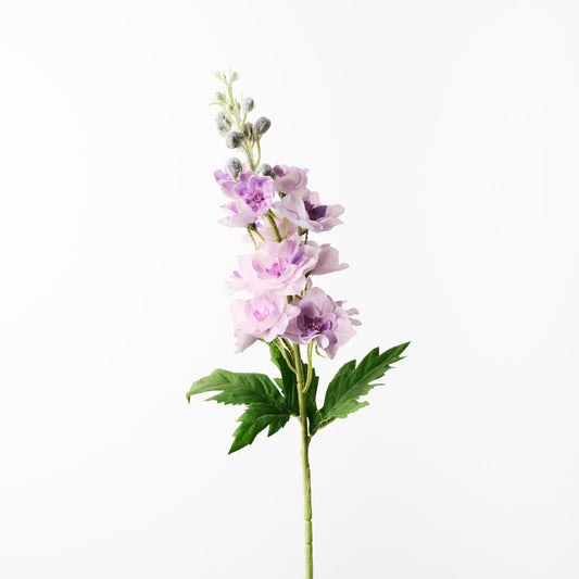 Delphinium Stem - Lavender