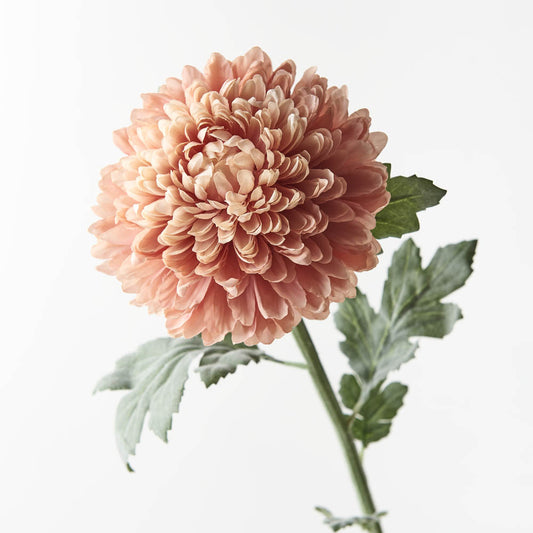 Chrysanthemum Ball - Dusty Pink