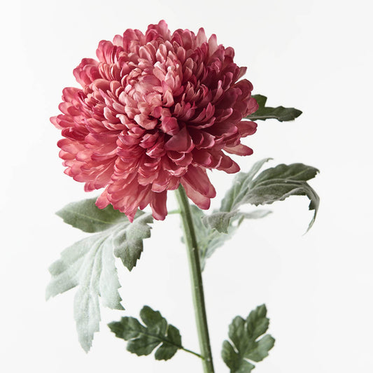 Chrysanthemum Ball - Mauve