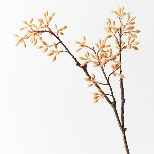 Simplex Seed Spray - Natural