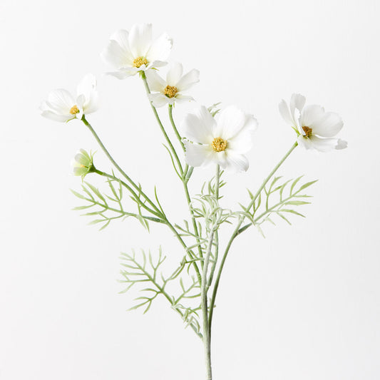 Cosmos Spray - White