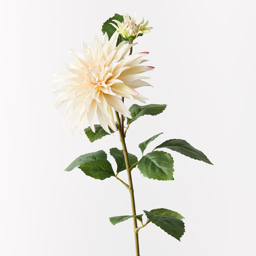 Dahlia Spray - Ivory