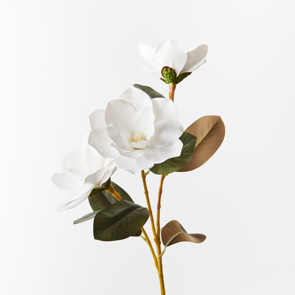 Magnolia Spray - White