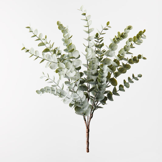 Eucalyptus Bush