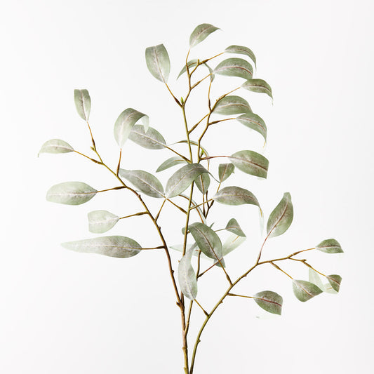 Eucalyptus Long Leaf Spray