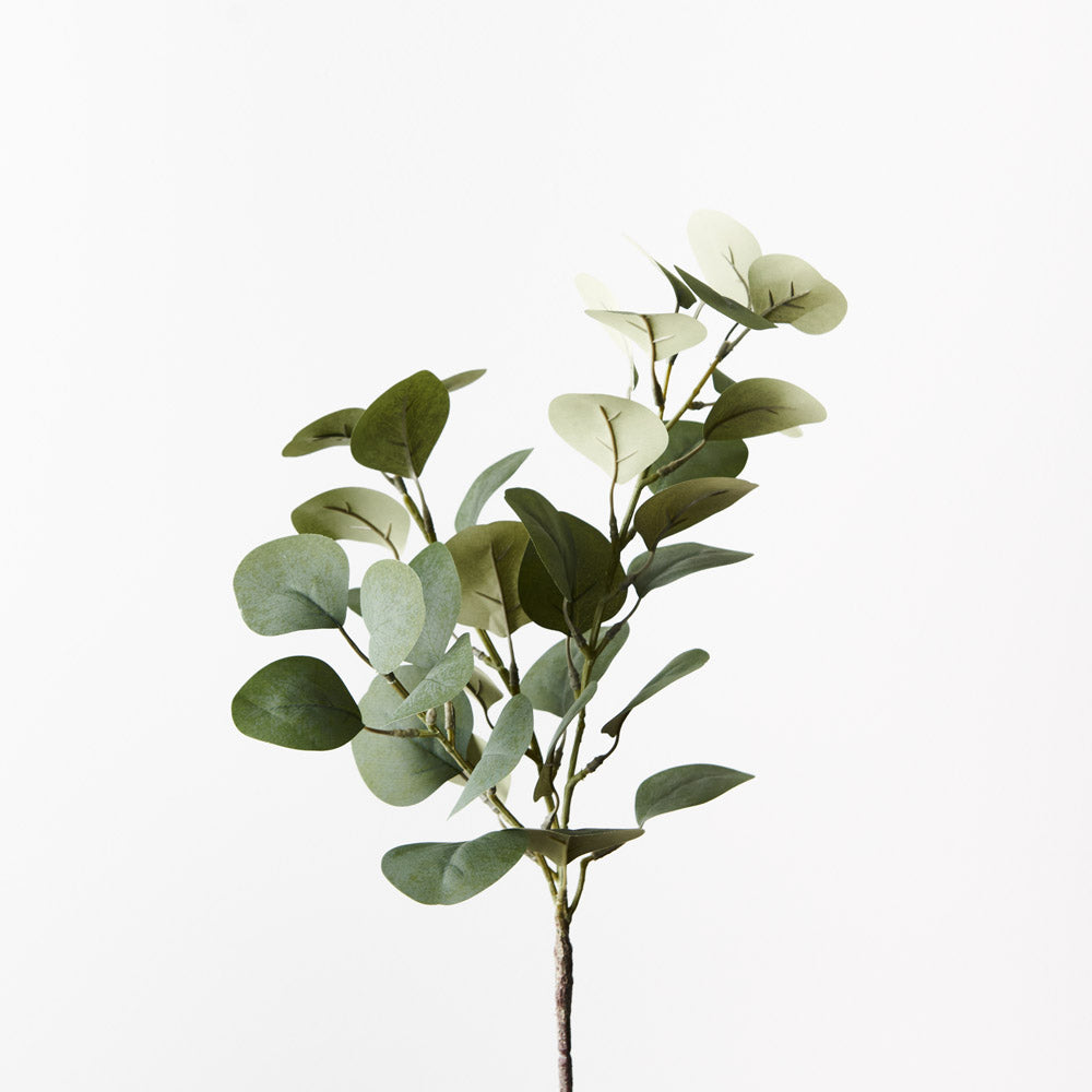 Eucalyptus Spray