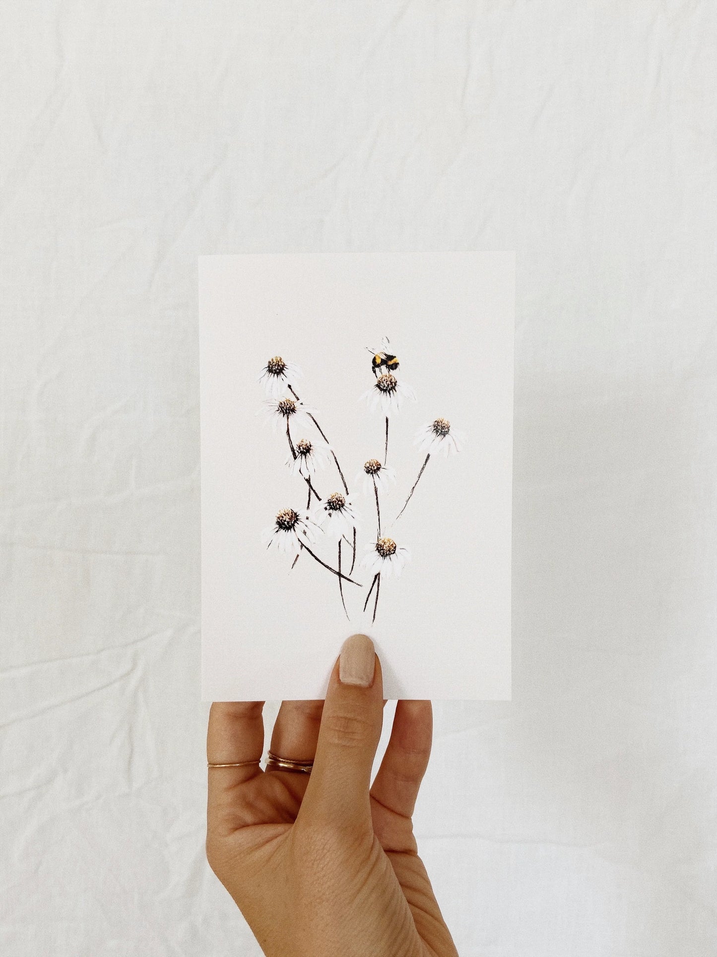 Daisies Card