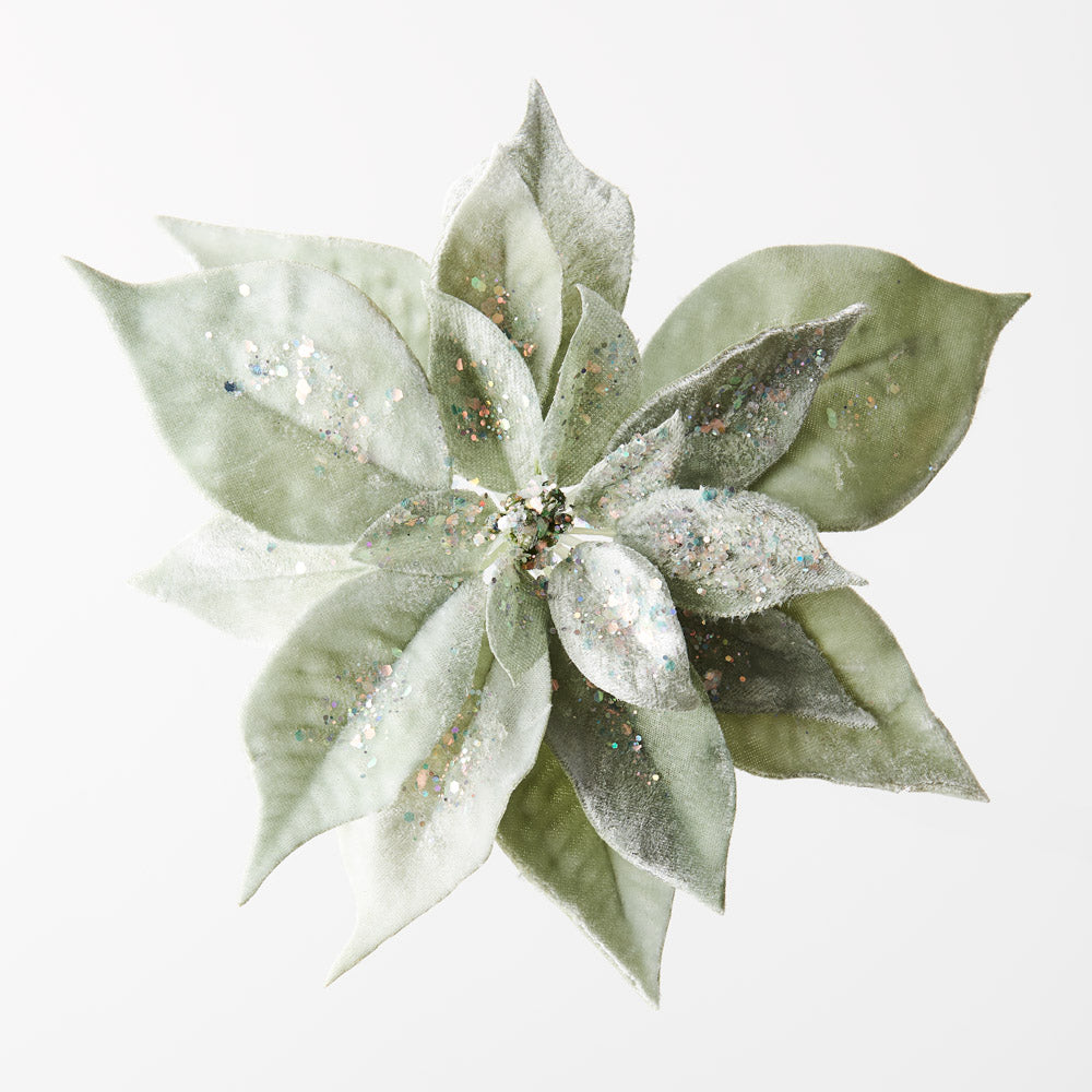 Clip Poinsettia Velvet - Sage Green